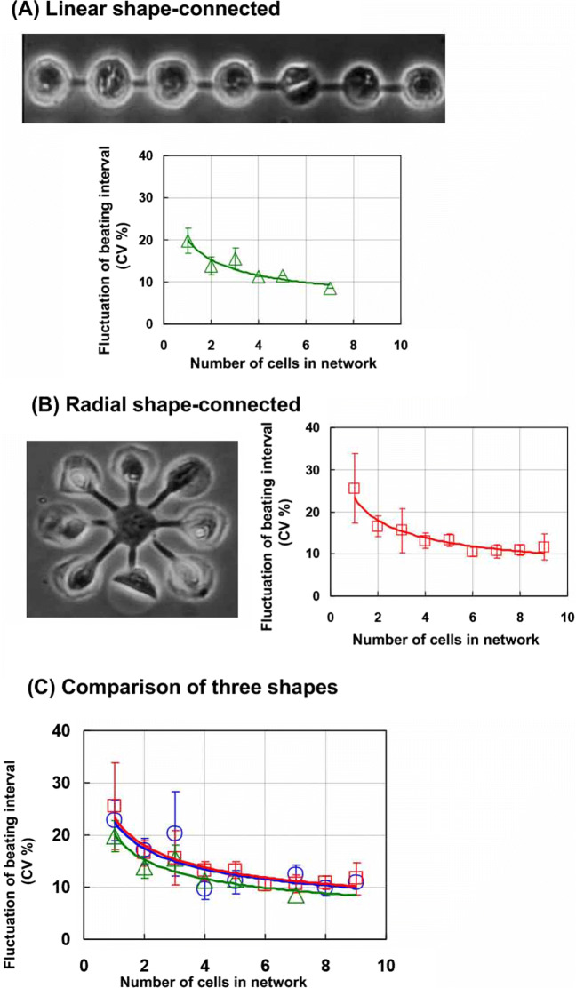 Fig. 6