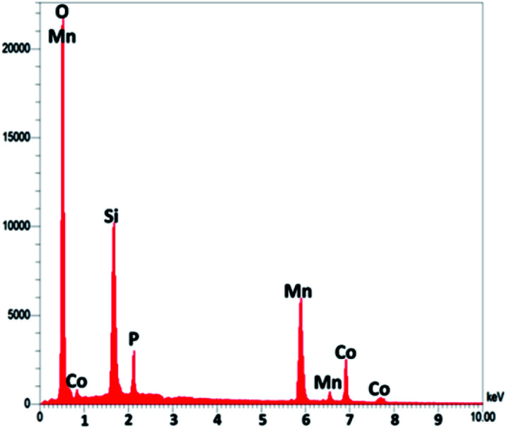 Fig. 3