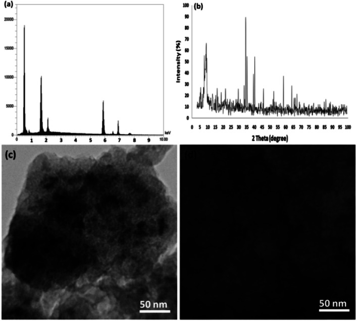 Fig. 13