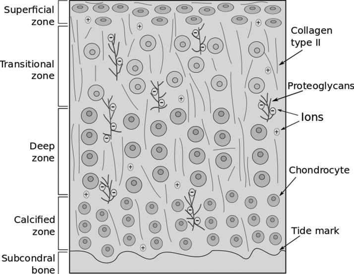 FIG. 1.