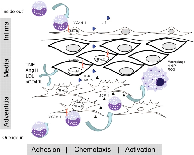 Figure 2