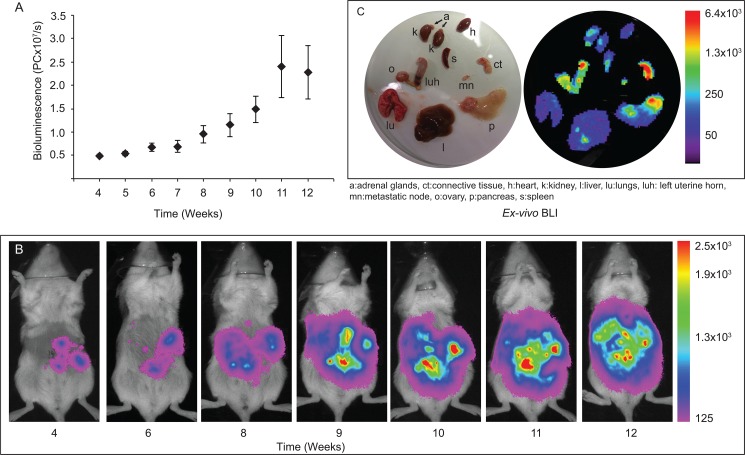 Fig 2