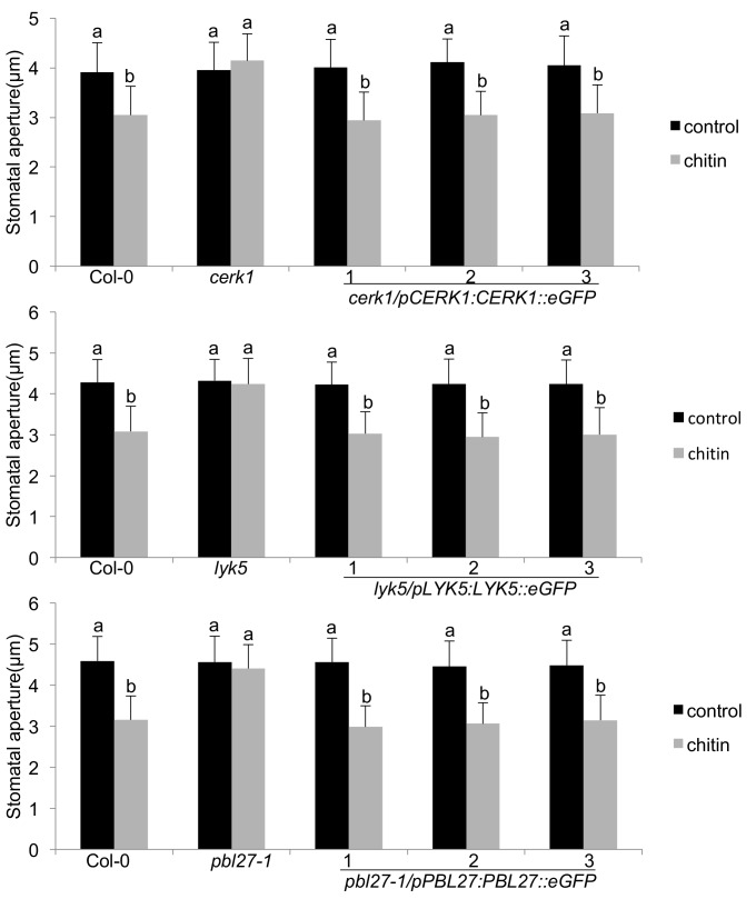 Figure 1—figure supplement 1.