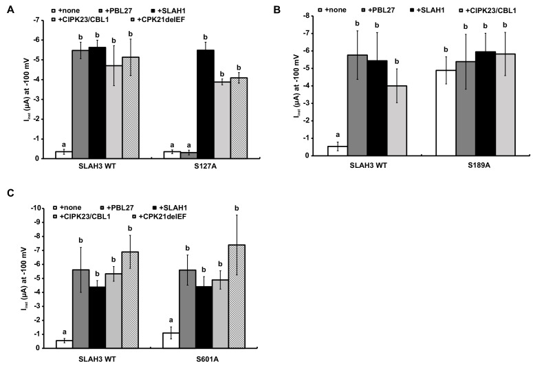 Figure 3—figure supplement 3.