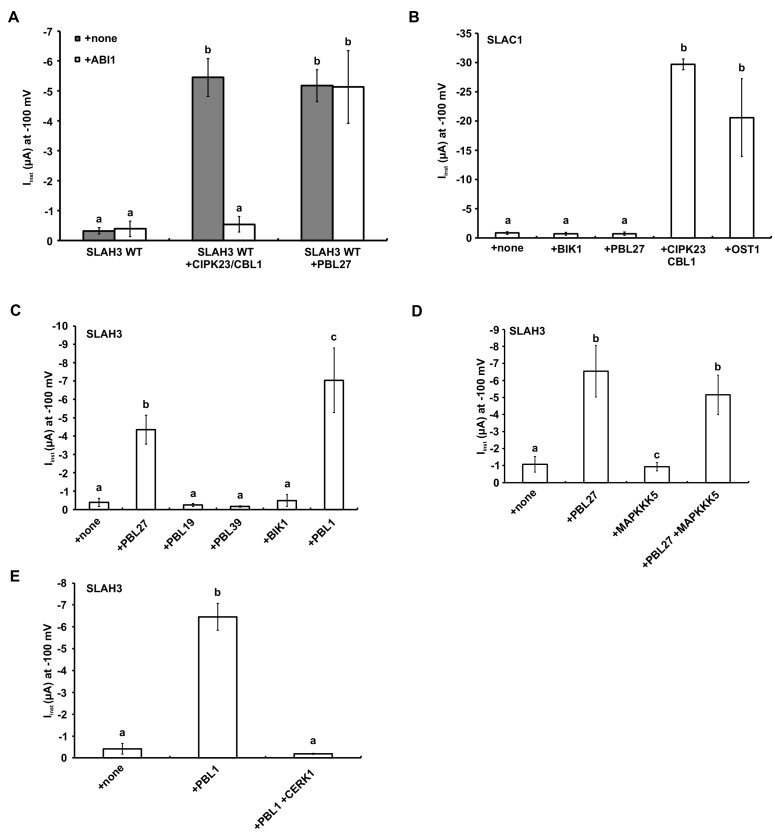 Figure 3—figure supplement 1.