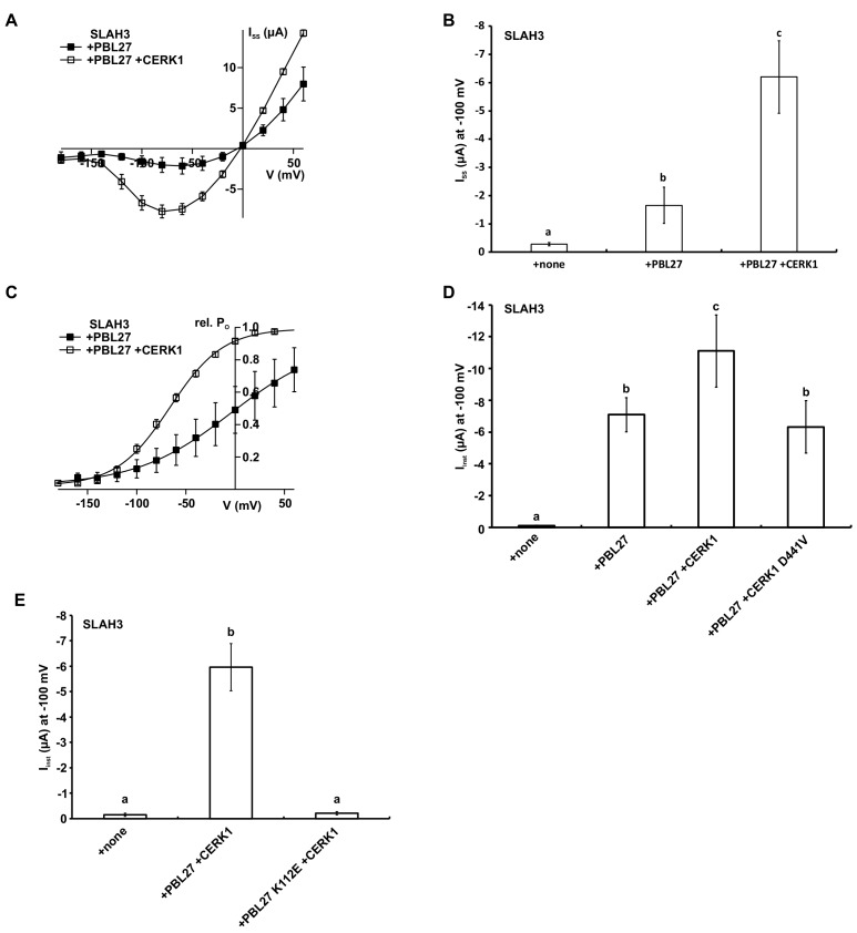 Figure 3—figure supplement 2.