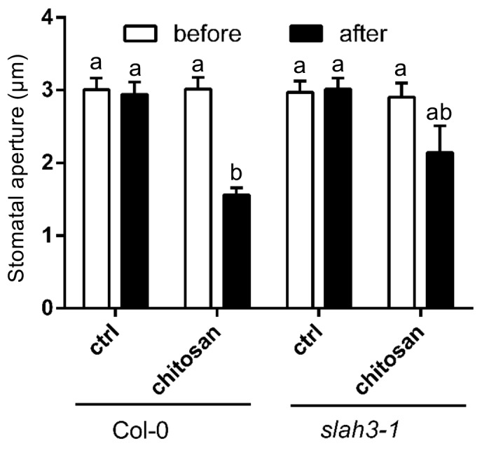 Figure 1—figure supplement 2.