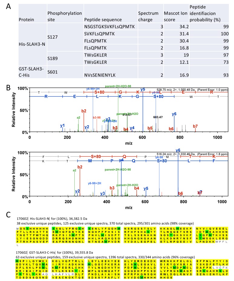 Figure 2—figure supplement 1.