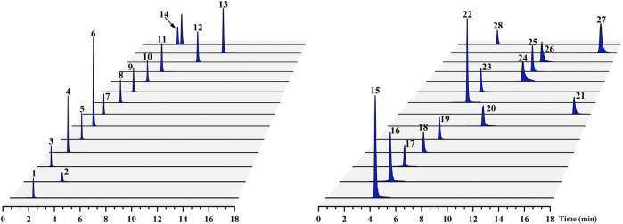 FIGURE 2