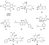 Fig. 2