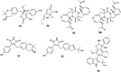 Fig. 12
