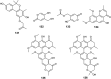 Fig. 19