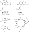 Fig. 9