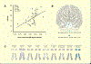 Figure 3 –