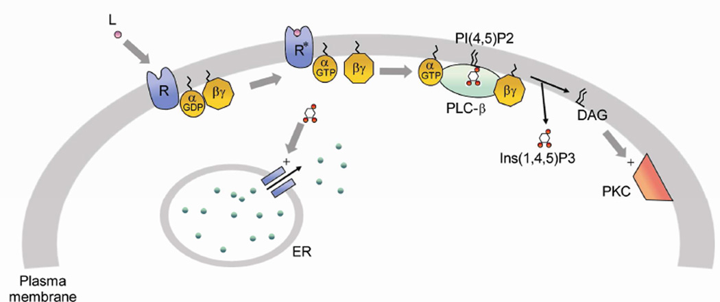 Fig. 1