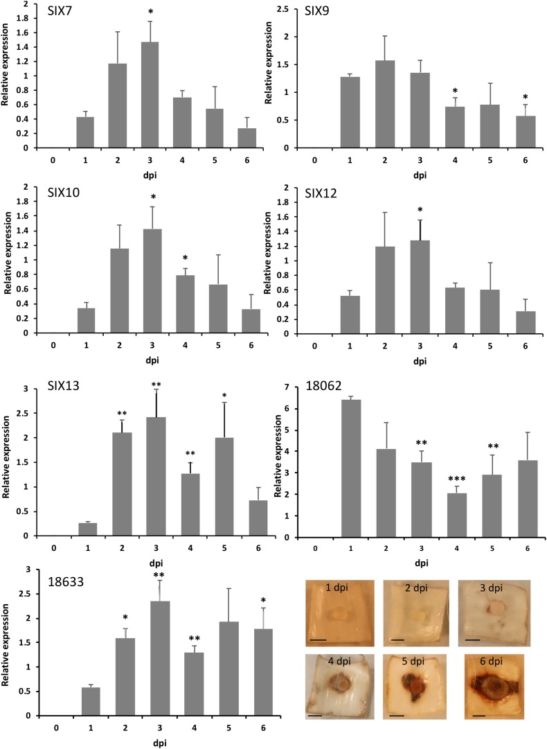 FIGURE 3