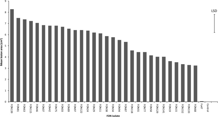 FIGURE 1