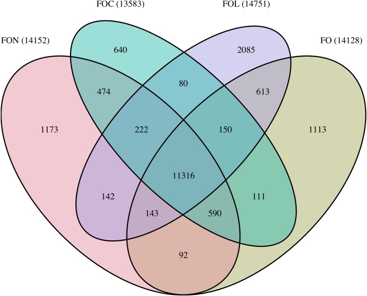 FIGURE 4