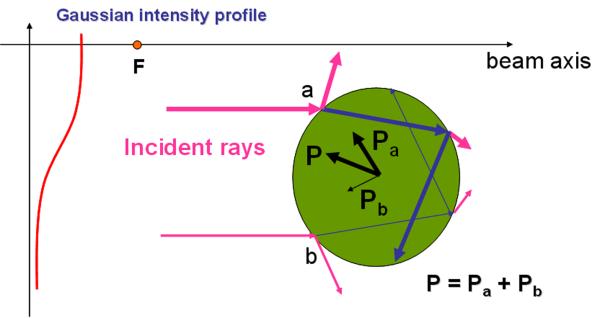 Fig.1