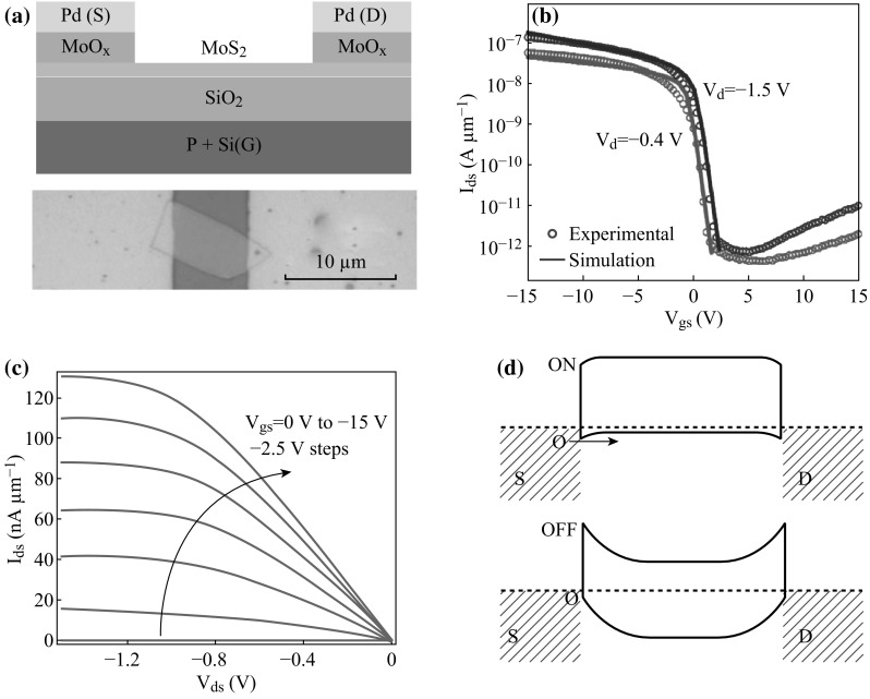 Fig. 2