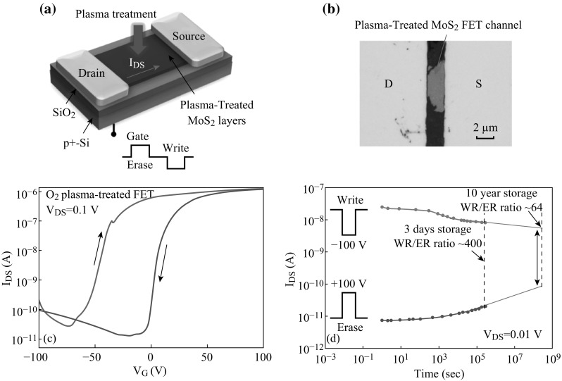 Fig. 10