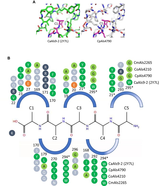 FIGURE 4