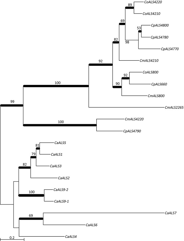 FIGURE 3