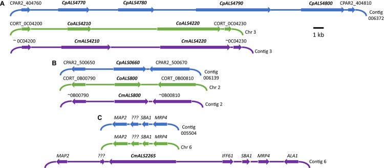 FIGURE 1