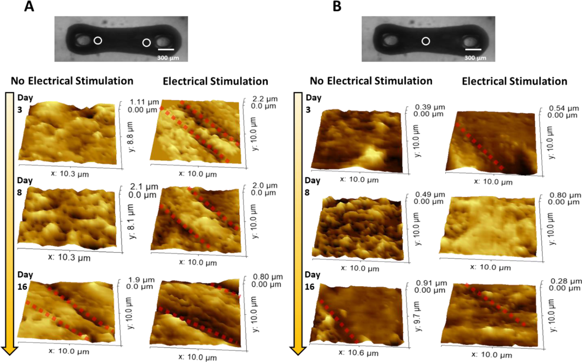 Figure 4.