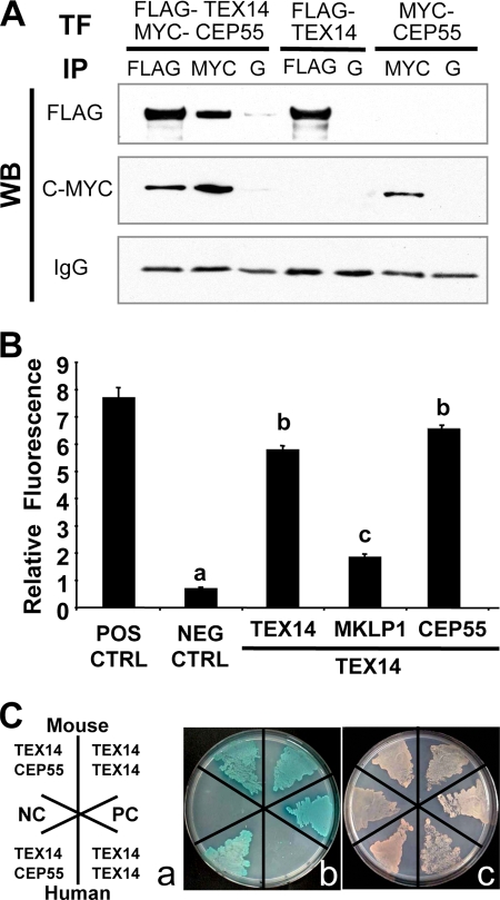 FIG. 4.