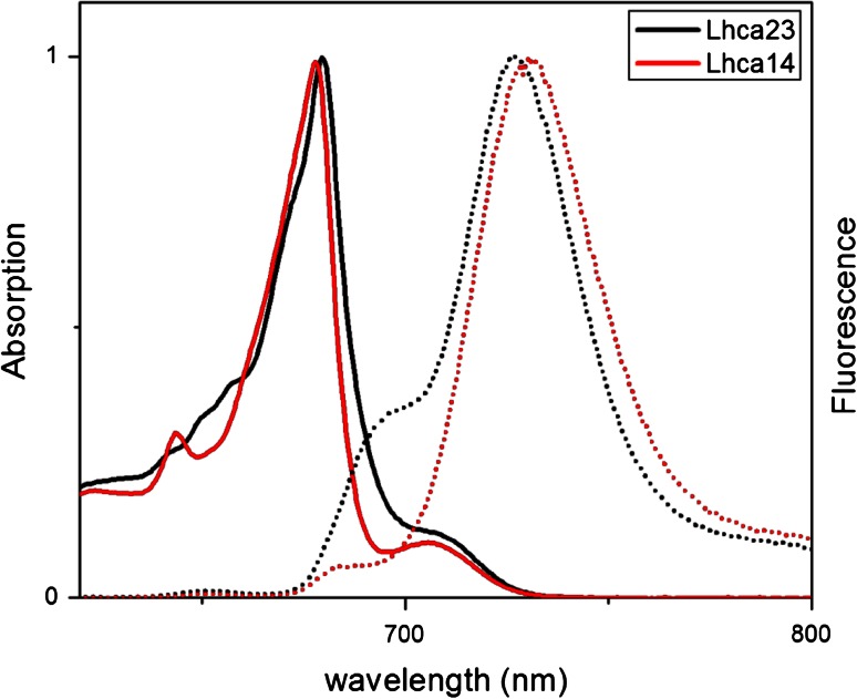 Fig. 3