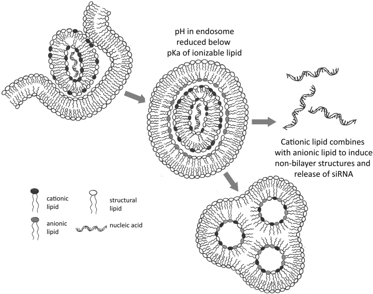 Figure 6