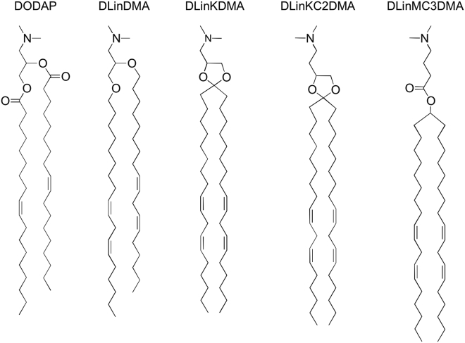 Figure 3