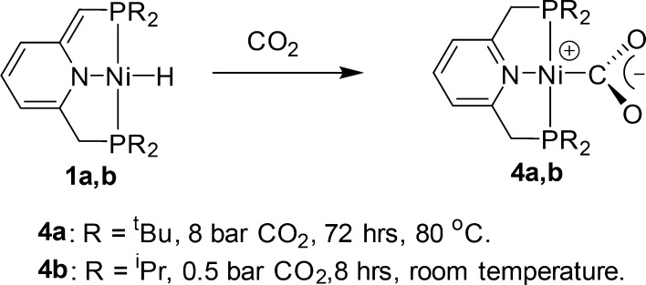 Scheme 5