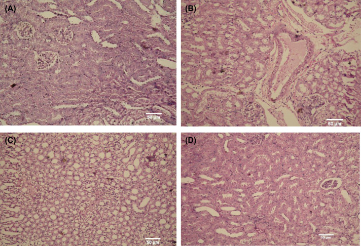 Figure 17