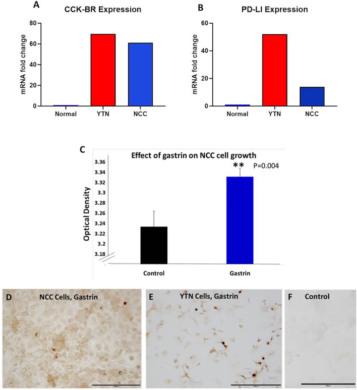 Figure 2