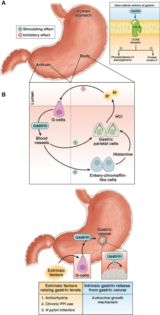 Figure 1