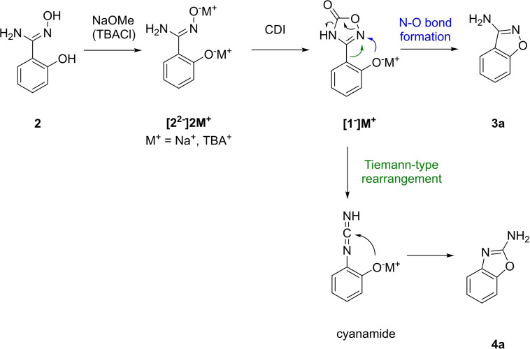 Scheme 4