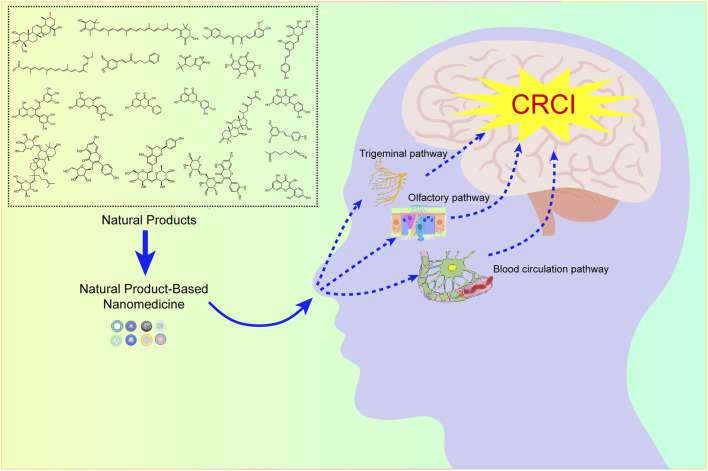 FIGURE 3