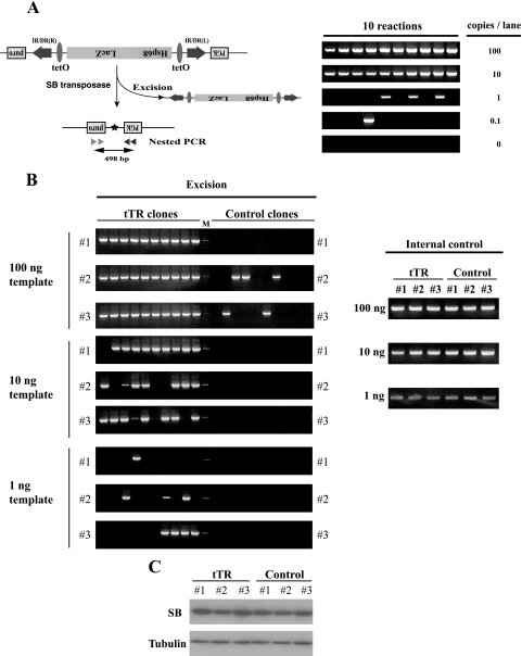 FIG. 6.