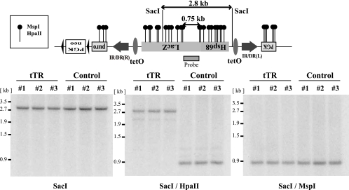 FIG. 5.