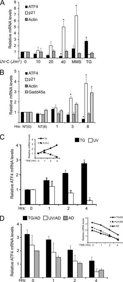 FIGURE 4.