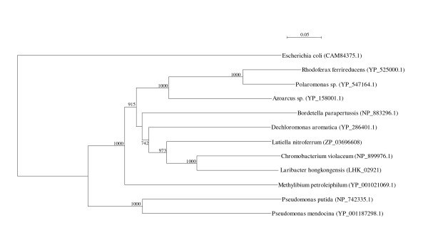 Figure 11