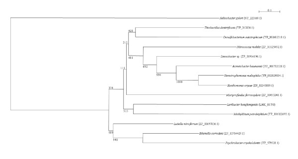 Figure 14