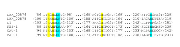 Figure 15