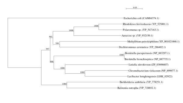 Figure 12