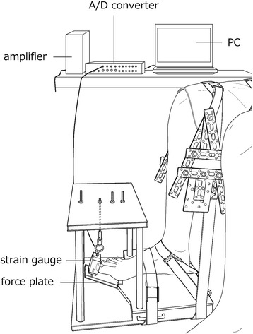 Fig. 2