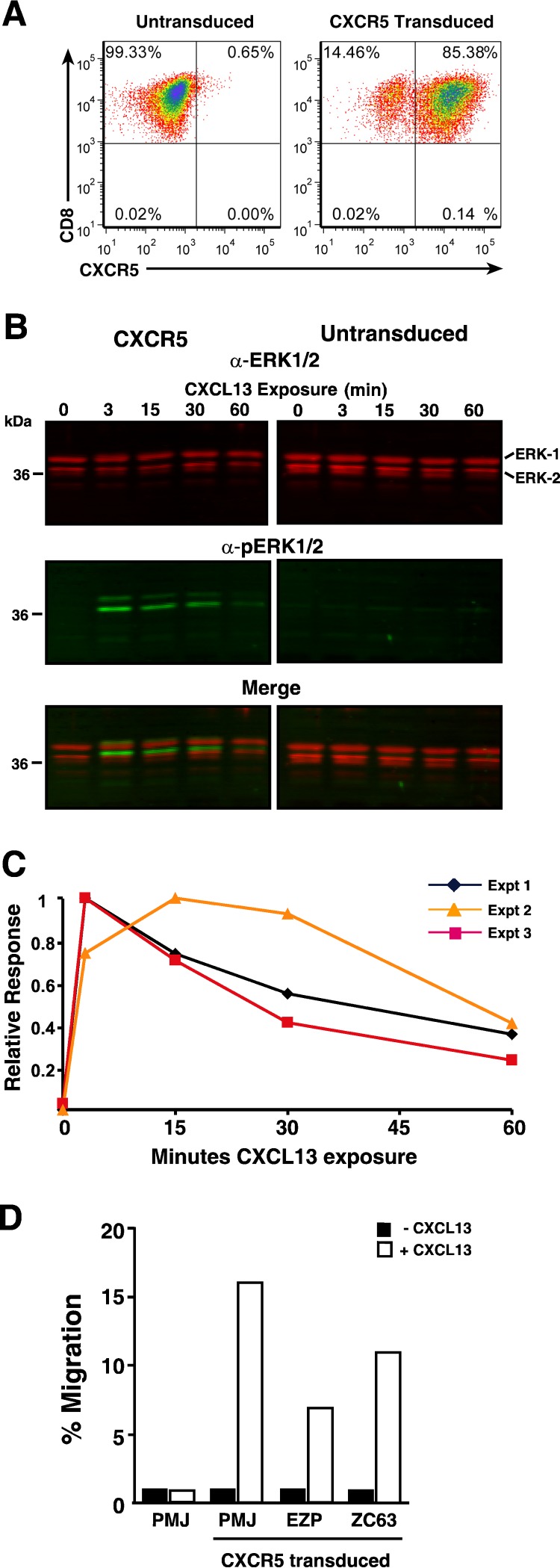 FIG 2