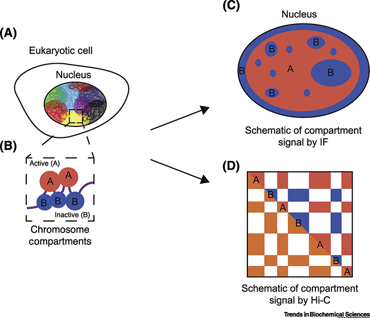 Figure 1: