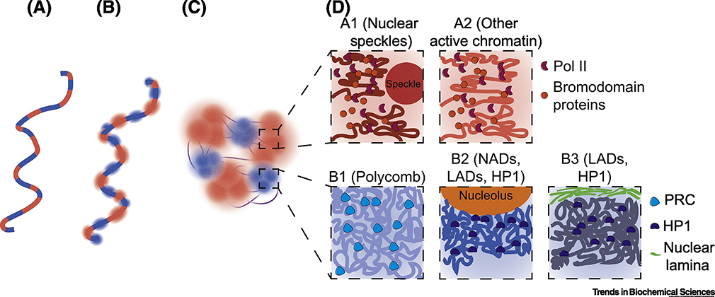 Figure 2: